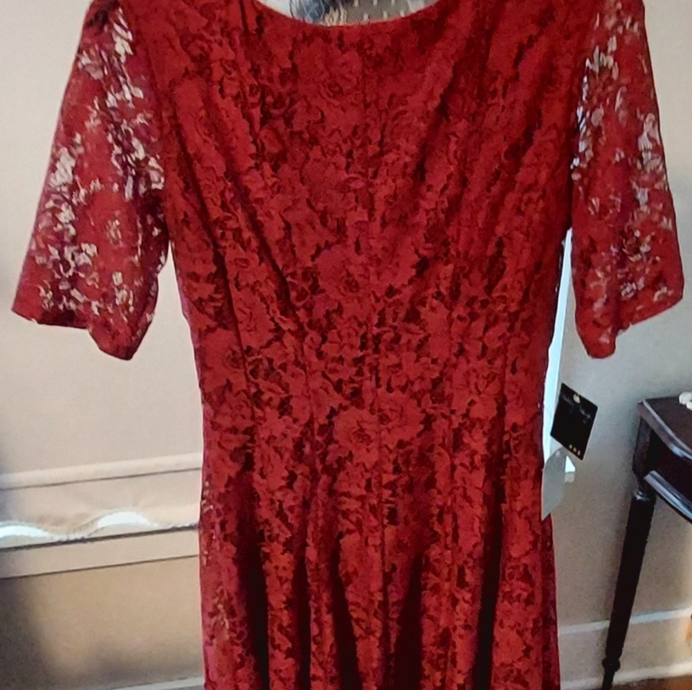 Gabby Style lace dress